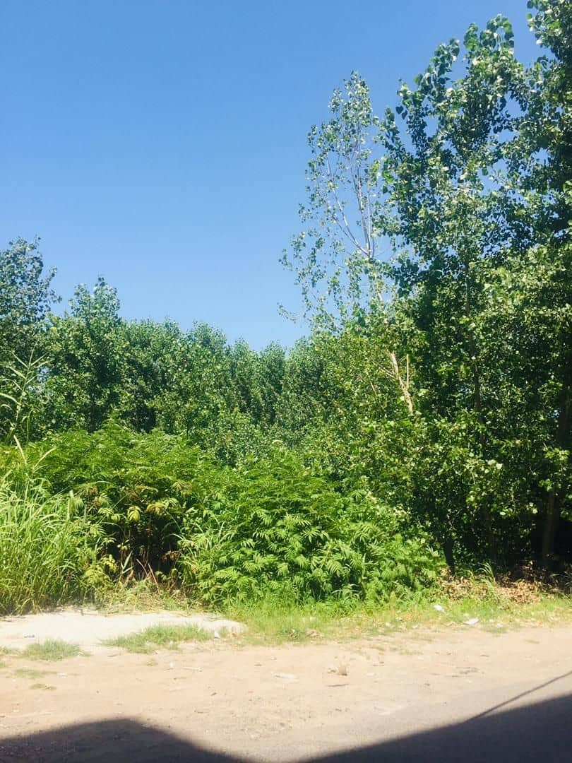 طبیعت خدادادی