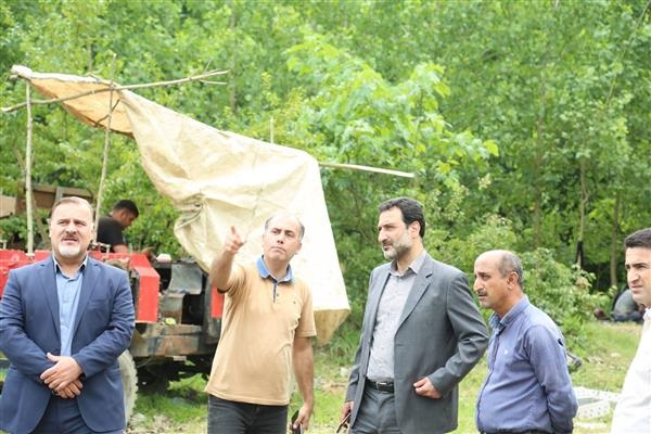 بازدید مدیرعامل شرکت برق منطقه ای