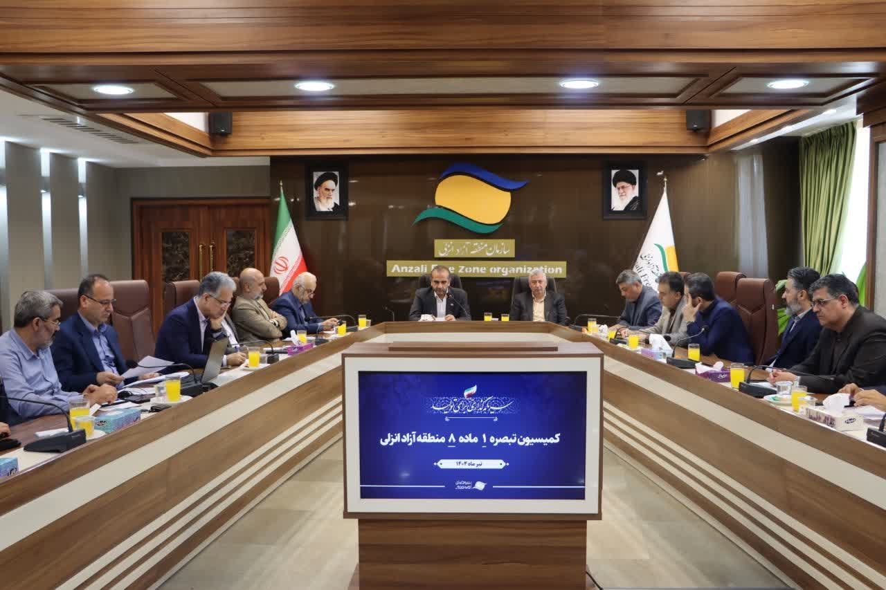 برگزاری نشست کارگروه تبصره ۱ ماده ۸ در انزلی