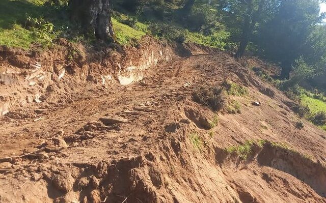 جنگلهای هیرکانی