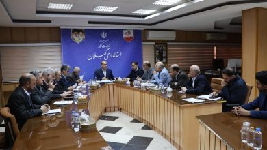 نقد اظهارات استاندار گیلان هادی حق‌شناس در ستاد تنظیم بازار