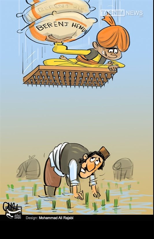 سر بی‌کلاه کشاورزان در کلی‌گویی‌های مسئولان!