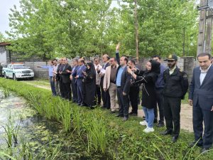 سیدعلی موسوی