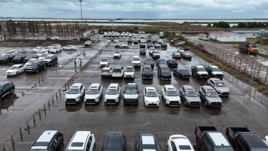 خودروهای وارداتی تاکسی و اتوبوس مدرن در ناوگان حمل و نقل عمومی گیلان - منطقه آزاد انزلی