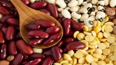 داوود لپه چی رئیس انجمن حبوبات ایران درباره گرانی حبوبات