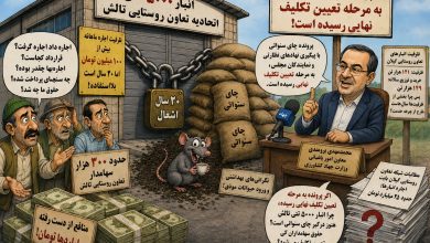 انبار ۵ هزار تنی اتحادیه تعاون روستایی تالش و وضعیت دپوی چای سنواتی