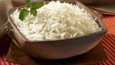برداشت و تولید برنج در مزارع گیلان