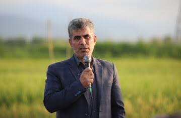 تعرفه برداشت مکانیزه برنج ۱۴۰۵ - کمباین برنج در شالیزار گیلان