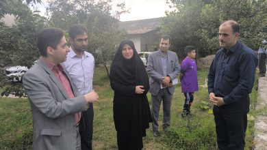 بازدید سمیرا حسنی سرپرست فرمانداری خمام از مجموعه کشاورزی سید علی موسوی
