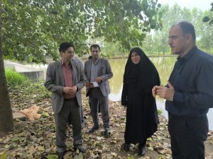 بازدید سمیرا حسنی سرپرست فرمانداری خمام از مجموعه کشاورزی سید علی موسوی