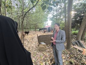بازدید سمیرا حسنی سرپرست فرمانداری خمام از مجموعه کشاورزی سید علی موسوی