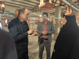 بازدید سمیرا حسنی سرپرست فرمانداری خمام از مجموعه کشاورزی سید علی موسوی