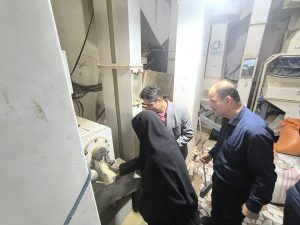 بازدید سمیرا حسنی سرپرست فرمانداری خمام از مجموعه کشاورزی سید علی موسوی