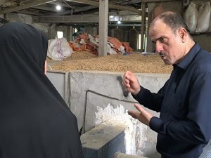 بازدید سمیرا حسنی سرپرست فرمانداری خمام از مجموعه کشاورزی سید علی موسوی
