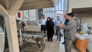 بازدید سمیرا حسنی از مجموعه کشاورزی سیدعلی موسوی در خمام