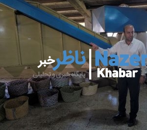 مازیار جعفری، مدیرعامل اتحادیه چایکاران غنچه‌های طلایی شمال، در حال گفتگو با ناظرخبر در خط تولید کارخانه چای سپیدرود